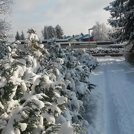 Nurdachhaus Ferienhaus *