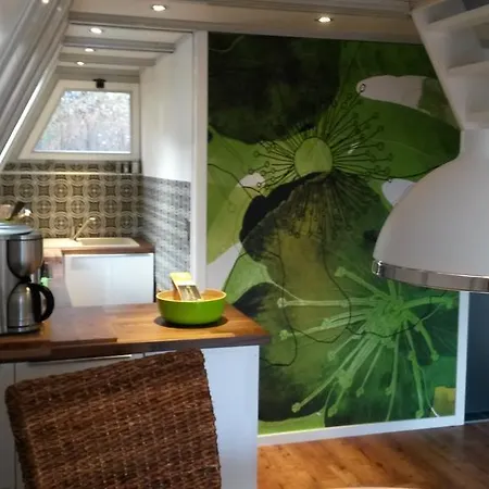 Nurdachhaus * Schellbronn